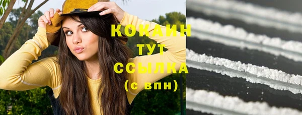 2c-b Богданович