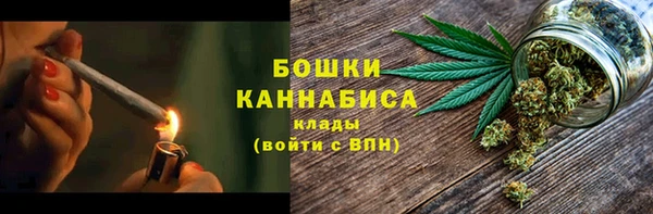 ECSTASY Белокуриха