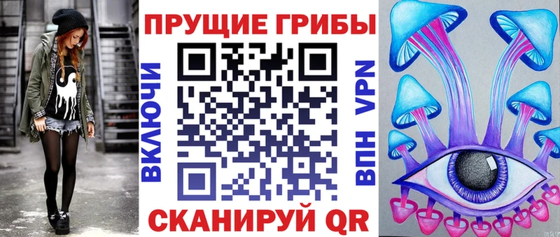 kraken онион  Буй  Псилоцибиновые грибы ЛСД  наркотики 
